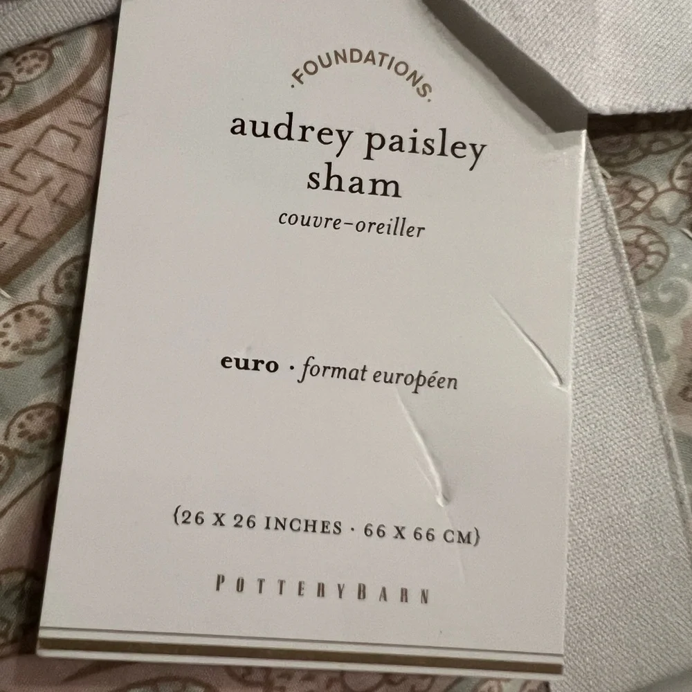 New Pottery Barn Audrey Paisley Bed Quilted Pillow Euro Sham